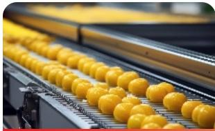 农副食品加工机械